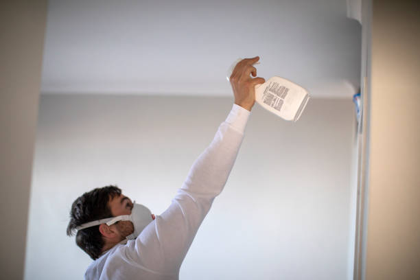 Crawl Space Mold Removal in Palmer Ranch, FL